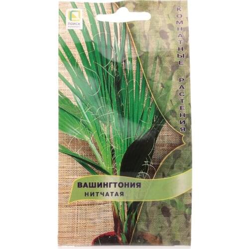 Вашингтония нитчатая ТМ Поиск агрохолдинг