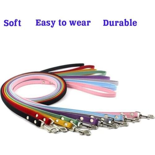 Fashionable and colorful chest leash, safe and durable pet leash, suitable for kittens and puppies