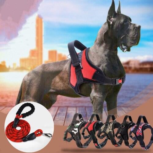 Safety Anti-rush Medium and Large Dog Pet Chest Strap Pet Leash Dog Collar Alaska Traction Rope Set Fashion Camouflage Pattern