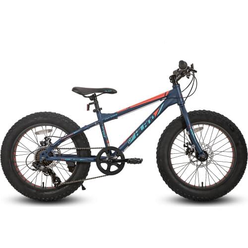 20 Inch Mountain Bike Disc & V BrakeBicycle Adult bike variable 21 speed Road bike male and female students cycling MTB Bike