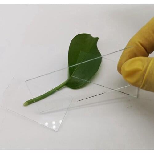 Optical Instrument Diaphragm D11.38x9.8x0.7mm Ar Antireflection High-Transmittance Glass Cover Customization