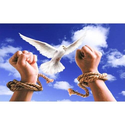 Dove diamond embroidery painting pigeon bird scenery mosaic tapestry painting by number diamond dotz wall art decor special gift