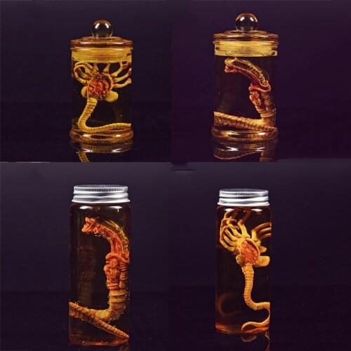 Collectible Toys 1/6 Jagged Warrior Predator Alien Contract Cultivation Facial Pickle + High Transparent Glass Bottle