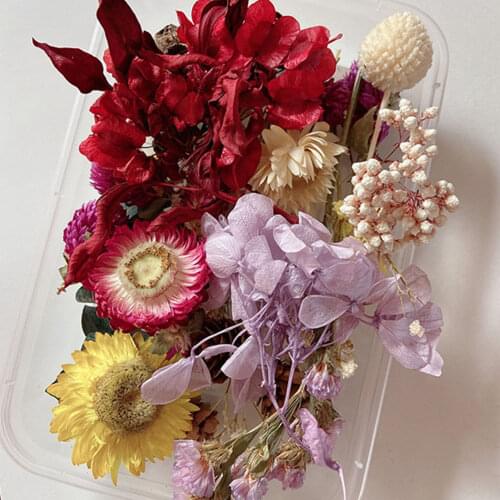 1 Box Natural Dried Flower Dry Plants For Aromatherapy Candle Epoxy Resin Pendant Necklace Jewelry Craft greeting Cards Makin