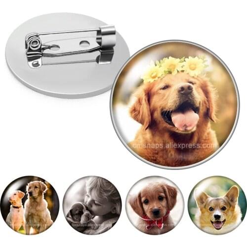 Love Dog Lovely Dogs Pet Family Golden retriever collie Glass cabochon Brooch Dome Photo Jewelry Brooches Pin Men Woman Gift