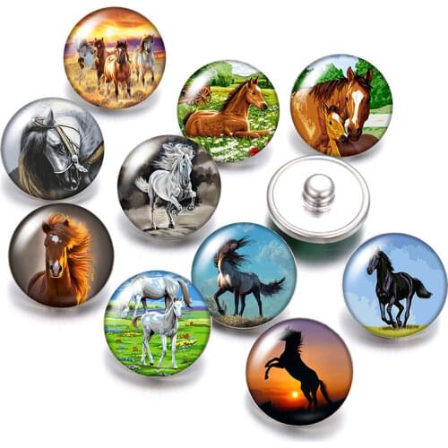 Love Horse zebra animals 18mm snap buttons 10pcs mixed round photo glass cabochon style for 18mm snap jewelry
