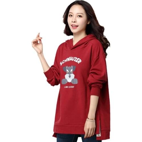 Spring Autumn Hoodies Women Sweatshirts Harajuku Hooded Aesthetic Hoodie Spring Ladies Hoody Streetwear RR0116