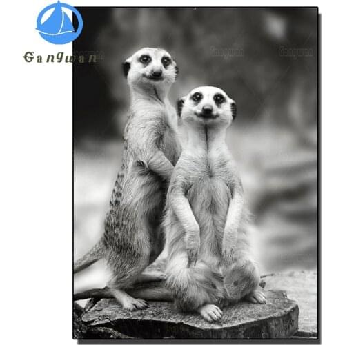 Cute Meerkat Diy Diamond Painting cross-stitch black white Animal painting Full mosaic Diamond embroidery rhinestone Wall Decor