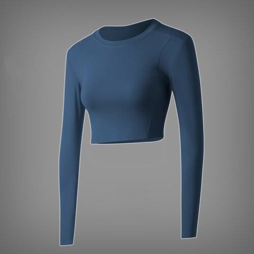 Round Neck Long Sleeve Women Yoga Shirts Blue Pink Black Purple Gray Fitness Clothing Skin-friendly Breathable Workout Shirt
