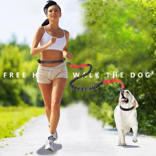 Hot Pet Dogs Leash Running Elasticity Hand Freely Pets Training Products Dog Harness Collar Jogging Lead Adjustable Waist Rope