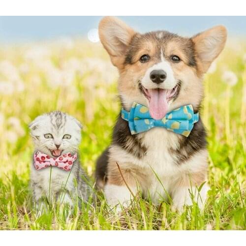 4Pcs Cat Collar Adjustable Cat Summer Elements Collar Safety Breakaway Kitten Collars With Bowknot Pet Bowtie Collar