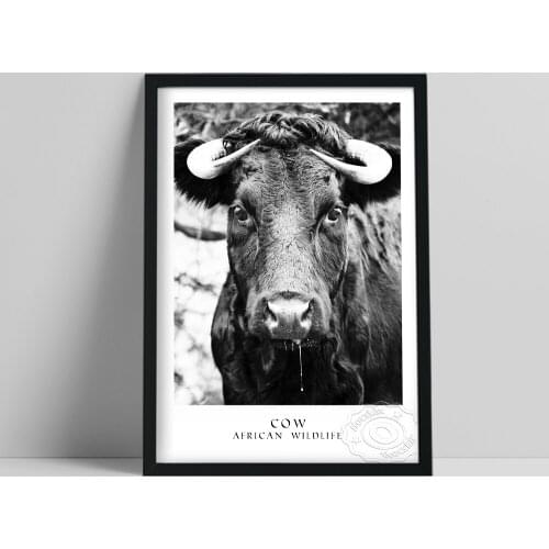Cow African Animal Prints Poster, Black White Cattle Wall Picture Gift, Farm Animal Wall Stickers, Funny Rustic Art Prints Decor