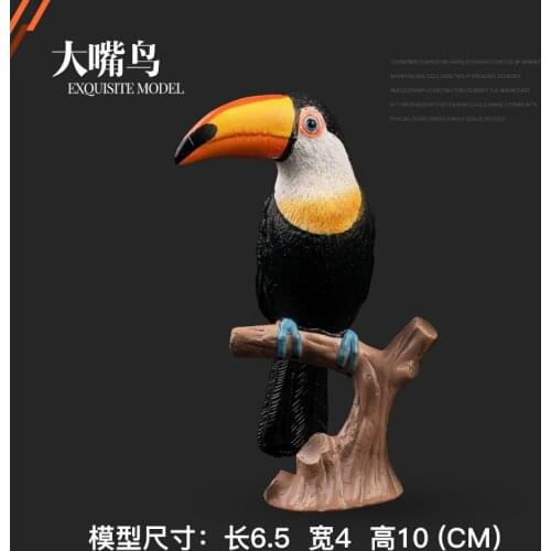 Boys and Girls Present Children Solid Simulation Model Zoo Wild Animal World Toucan Parrot Bird Fowl Jay Avian Gift statue decor