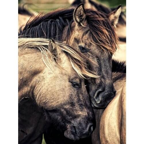 Diamond Embroidery DIY Diamond Painting Cross Stitch Kit Two horse 5D Needlework Diamond Mosaic Home Decoration