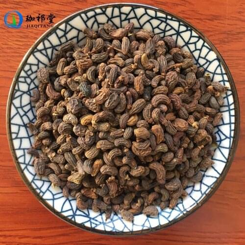 Glossy Privet Fruit Fructus Ligustri Lucidi NvZhenZi