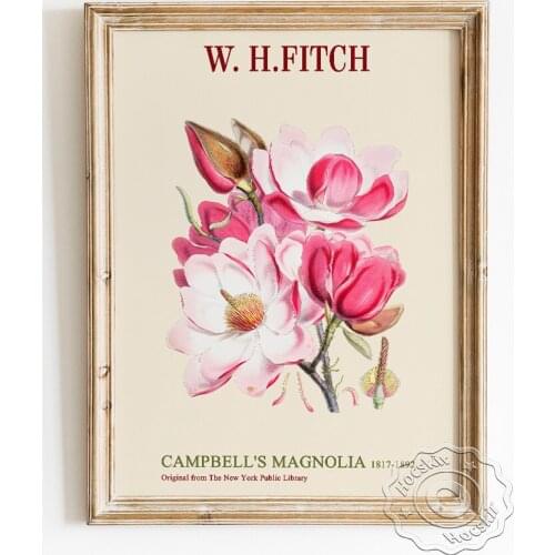 Walter Hood Fitch Exhibition Museum Art Poster, Campbells Magnolia Canvas Painting, Pink Flowers Modern Home Decor Wall Picture