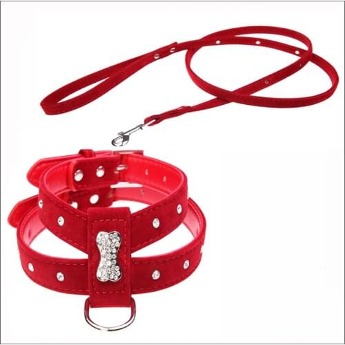 PAWFECT Animal Decorations