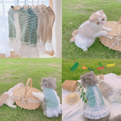 Cat Dress Dog Lace Skirt Puppy Apparel Small Dog Clothes Yorkshire Pomeranian maltese Bichon Poodle Schnauzer Corgi Clothing New