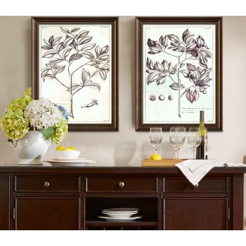 Wild Flowers Posters and Prints Sketches Botanical Anemone Hygge Wall Art Canvas Painting Retro American Pictures Kitchen Decor