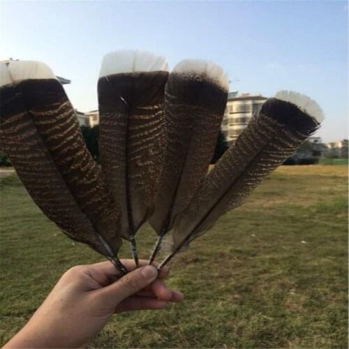 10 Pcs high quality natural Eagle bird feathers 25-30cm/10-12inch Selected Prime Quality Eagle feathers diy jewelry decoration