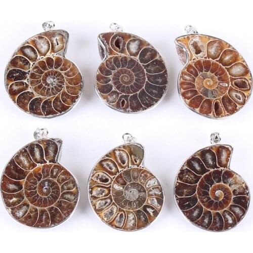Natural Ammonite Fossils Pendant Necklace Fossils Stone Pendant Fashion Jewelry