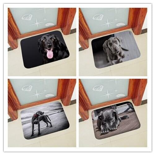 Funny Dog printed hallway Anti slip doormat for entrance door mats outdoor indoor front door mat Thicken flannel 40x60cm