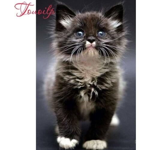 TOUOILP 100% Full 5D Diy Daimond Painting "Animal cat" 3D Diamond Painting Round/Square Rhinestones Diamant Painting Embroidery