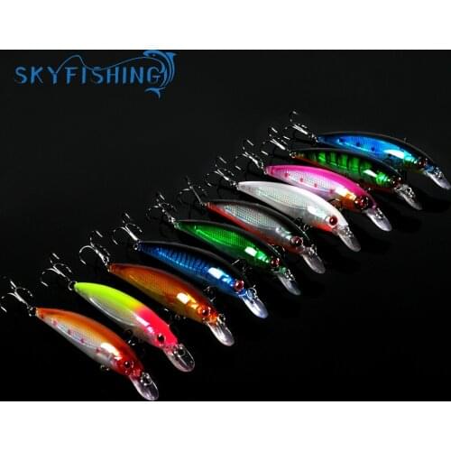 SKYFISHING Fishing Lure For Carp