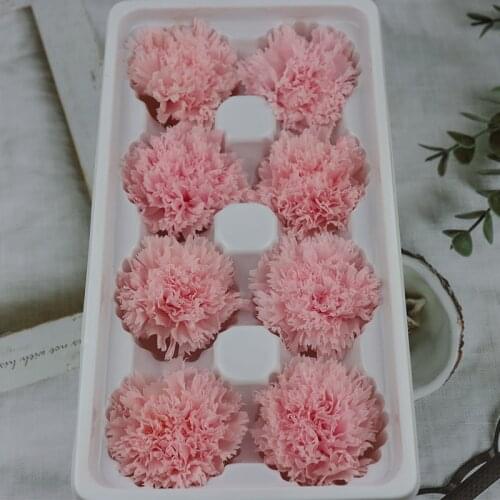 Carnation Preserved Fresh Flower DIY Flower Dried Flower Gift Box