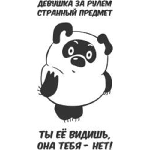 Black/Sliver The Girl Behind The Wheel Is A Strange Object Vinyl Car Stickers For Car Window Door Sign C028