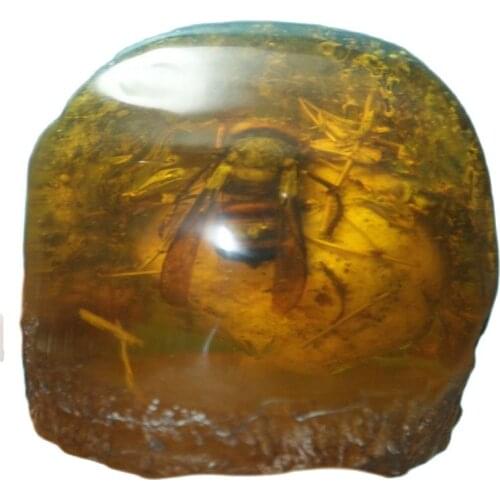 Chinas old amber unique amber art collection and home decoration