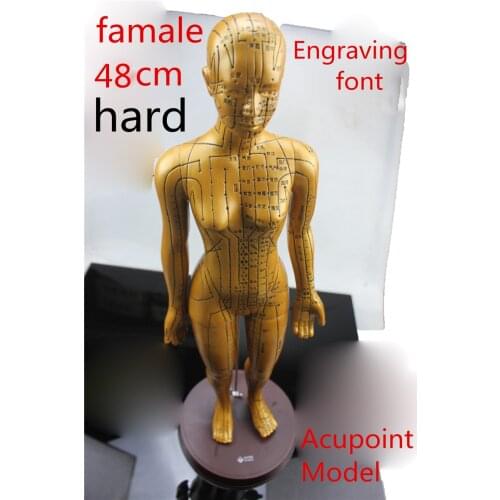 HD clear Electroplate Pure copper human body meridian acupuncture points hard model bronze acupuncture acupoints model famale