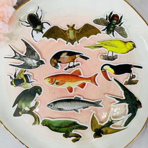 14pcs Bird insect fish Kids Fun Paper Stickers Homemade Bookkeeping Decals on Laptop / Decorative scrapbooking / DIY