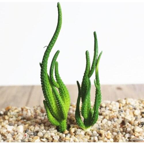 1 Set Artificial Cactus Succulents Bonsai Flowers DIY Home Decor Fake Plants Landscape Table Decorative Desert plant