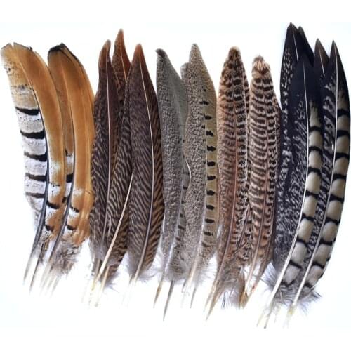 10Pcs/Lot Natural Pheasant Feathers for Needlework Crafts Feather Decor Handicraft Plumes Plume Wedding Accessories Decoration