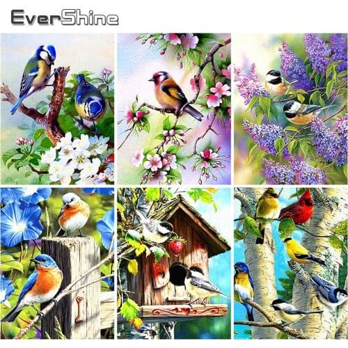 EverShine Full Drill Square Diamond Painting Animal Diamond Embroidery 5D DIY Bird Picture Mosaic Rhinestone Handmade Hobby