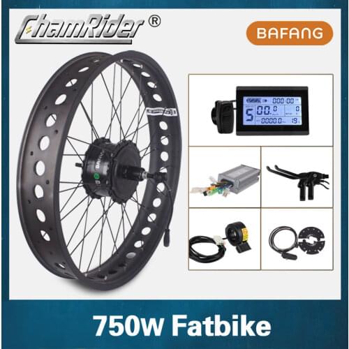 Bafang 750W Snow Bike Kit 350W Fat Bike Motor Kit 48V Electric Bicycle Kit 4.0 Wheel Electric Fatbike Kit G060 Hub Motor Freehub
