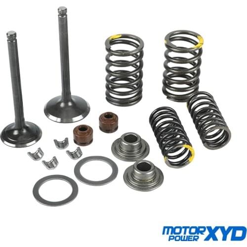 Motorcycle Intake Exhaust Valve comp Springs Cotter Seal Assy For Lifan 125 140 150cc Horizontal Engines Dirt Pit Bike ATV Quad