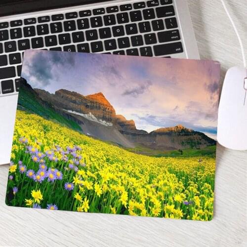 Beautiful Flowers Computer Gaming Mouse Pad Natural Rubber Kawaii Lovely Anti-slip Art Anime Home Carpet MousePads Skipoem