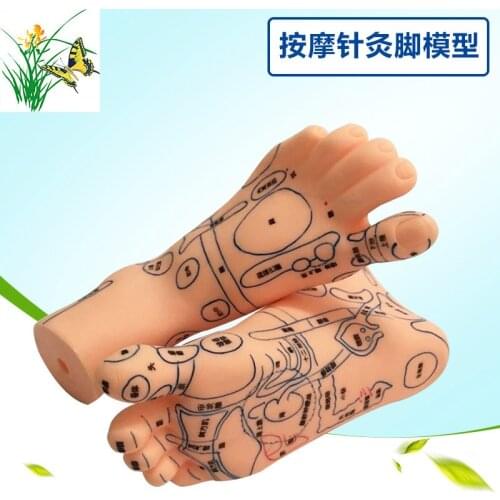 19cm Ultra clear foot model massage acupuncture and moxibustion foot model with main collateral channel Foot reflex area model