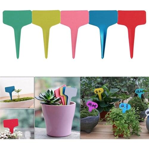 Garden Labels Nursery Tags Plant Markers 6pcs With Household Cleaner For Reuse T-type 10x6cm Eco-friendly Reusable Seedling Tray