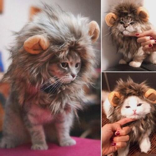 HATELI Clothes For Cats