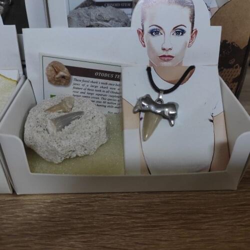 Shark tooth necklace natural for unisex punk black rope necklace