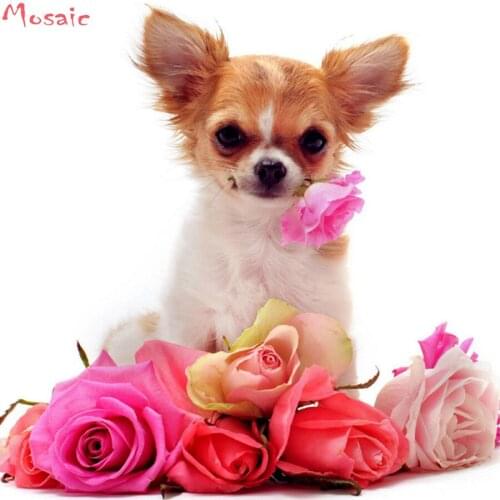 Diamond Embroidery,Chihuahua dog,Diamond Painting,Full,Animal,Cross Stitch,Diamond Mosaic,Square,Rhinestone,DIY,Rose dog,decor