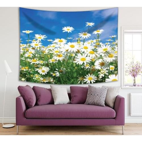 Tapestry Daisies Wildflower Field Meadow Sunny Summer Day Sky Nature Scenery Blue White Yellow Green