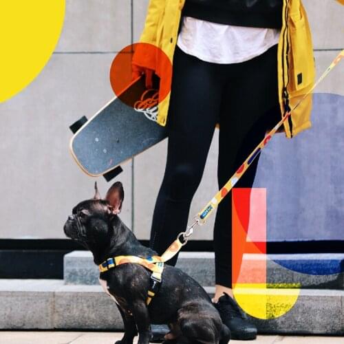 Puppy Harness Set Dogs Pets Accessories Fashion Pet Quick Wearing Chest and Back Traction Dog Leash Set Dog Collar Dog Harness