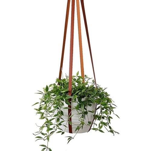Waasoscon Hanging Pots