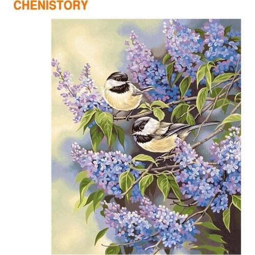 CHENISTORY Frameless Birds Flowers DIY Painting By Numbers Acrylic Paint On Canvas Wall Painting Unique Gift For Home Decor Arts