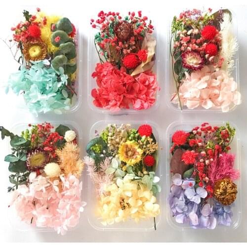 1 Box Immortal Dried Flower Material Holiday Handmade Floral Products Diy Scattered Mixed Dried Flowers Natural Flower