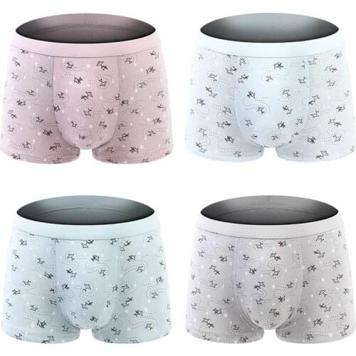 Boxer Men Brand Underwear Male Cartoon Penguin Aircraft Men Underpants Teenagers Boxers Hombre Cotton Comfort Panties Shorts
